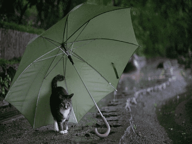 医院试管标本（厄瓜多尔试管婴儿）