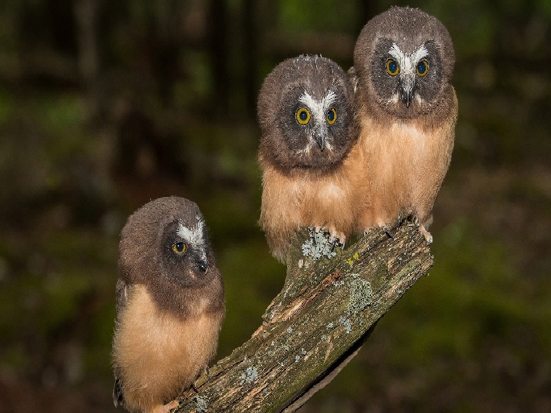 银川三代供卵例子,山东临沂做试管婴儿成功率最高的医院是哪里？如何选-银川